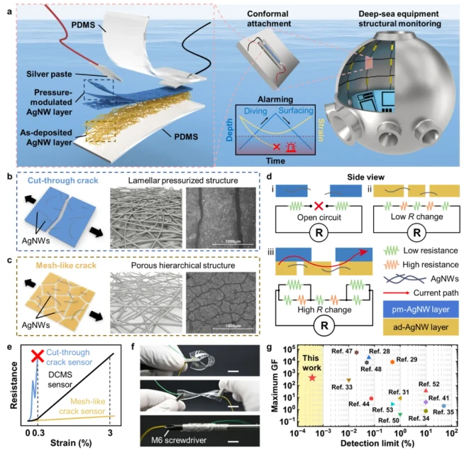 Two silver-nanowire layers pull microstrain out of a 50 MPa noise floor